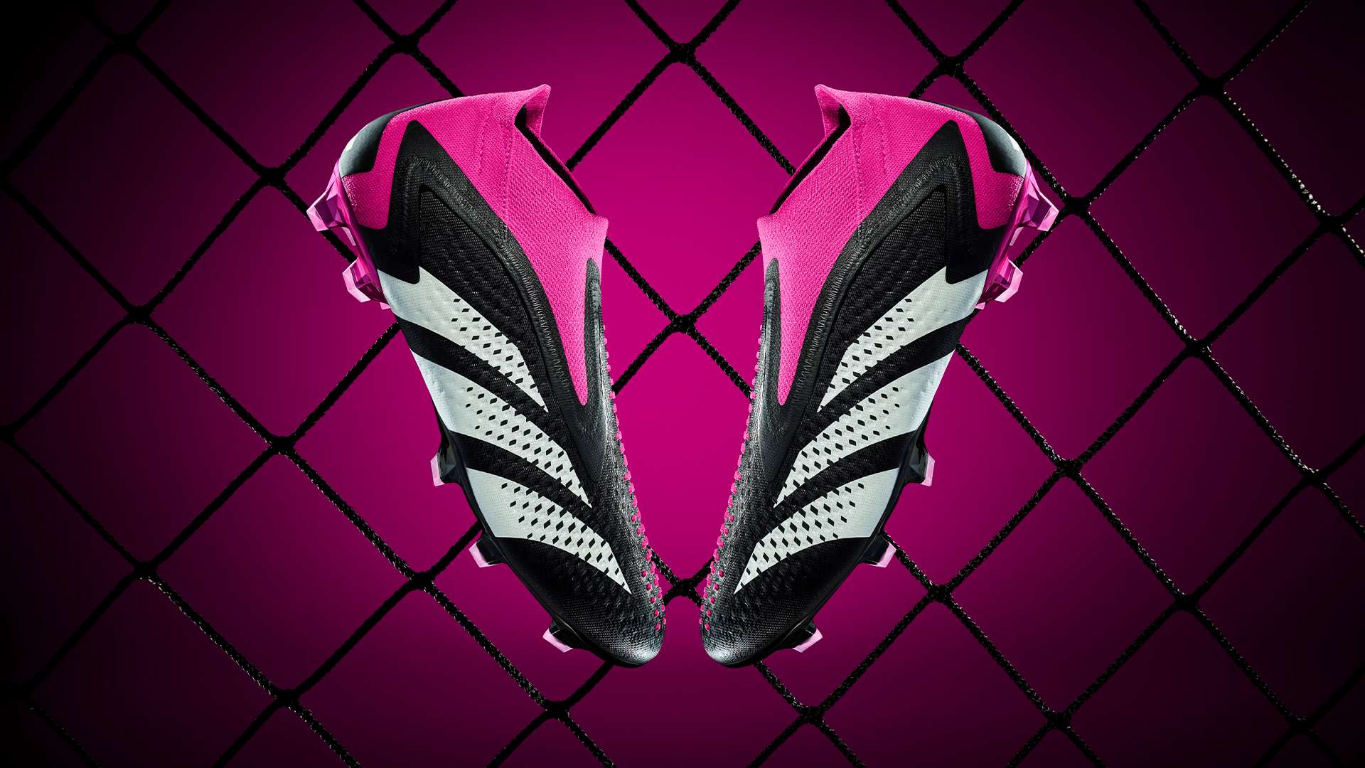 虚幻的期待 虚幻的期待