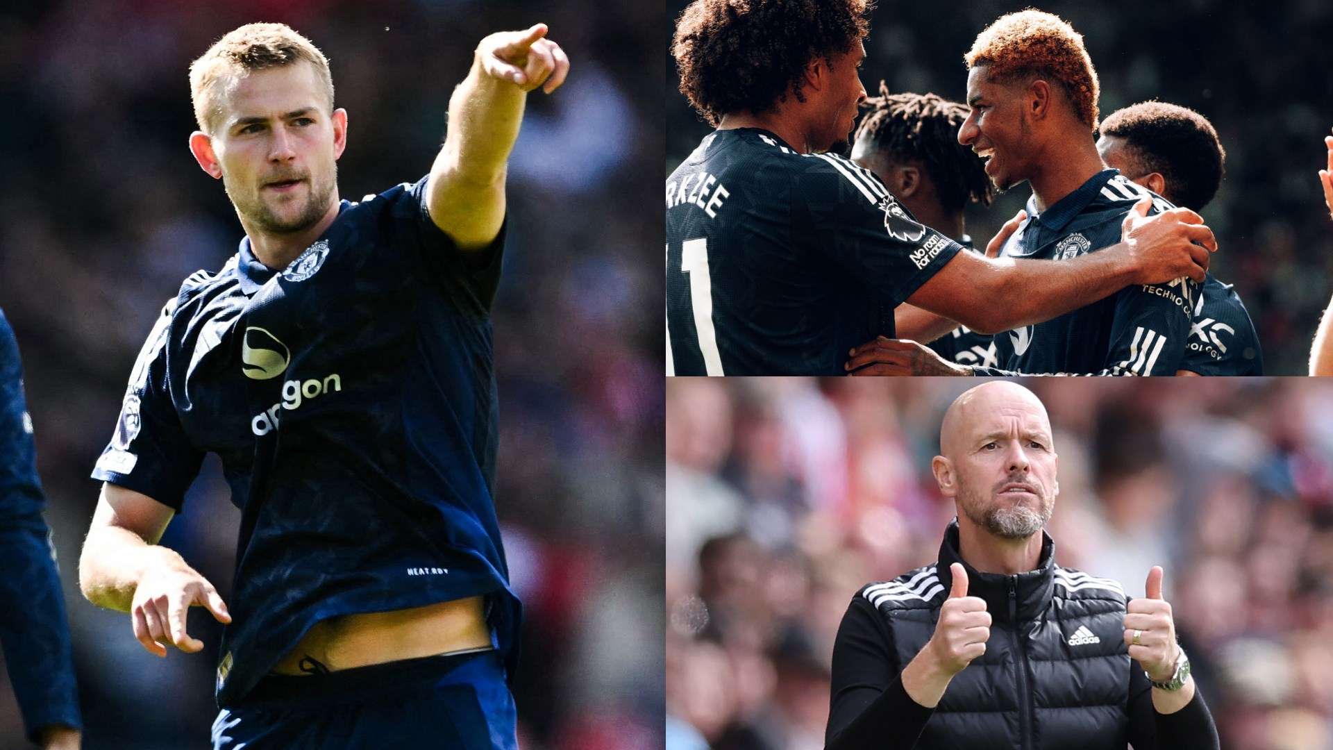 他的敏捷动 他的敏捷动